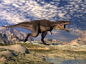 Theropod Dinosaur Species Drucke: Tyrannotitan dinosaur roaring in the desert