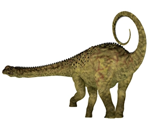 Mesozoic Era Wildlife Images Drucke: Uberabatitan dinosaur, side profile