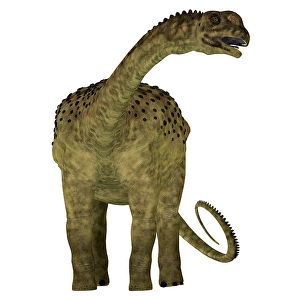 Überabatitan-Dinosaurier, Frontansicht.