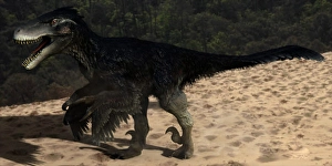 Cretaceous Era Animals Drucke: Utahraptor