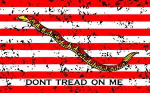 Vector illustration of the First Navy Jack