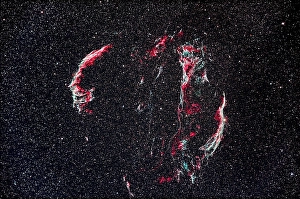 Das Veilchennebelkomplex in Cygnus