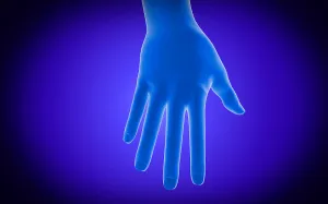 Human Hand Anatomy Drucke: X-ray view of human hand