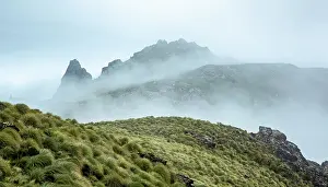 New Zealand Mountain Scenery Drucke: 1735450