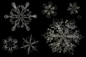 Verschiedene Schneeflocken zeigen eine Vielfalt im Abmess und Muster, unter dem Mikroskop vergrößert