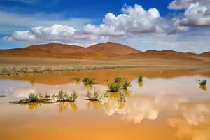 Neuer Regen bildet vorübergehendes Becken, Sossussüssei im Naturschutzgebiet Namib-Naukluft im Nami-Bergland