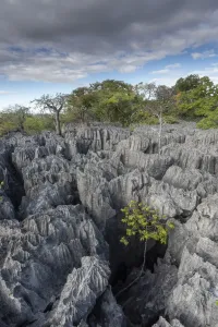 Felsformationen bei Tsingy Maeva, Nationalpark Ankarana, Madagaskar