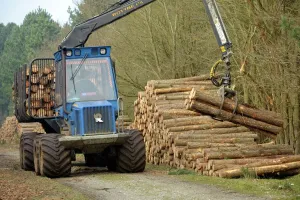 Drucke von Forstarbeiter mit einem Vorwärmer, entfernen gefällten Holz aus dem Dunwich Forest, Suffolk, UK, Februar 2011 2020VISION Ist Die Ehrgeizigste, Auf Fotografie Basierende Naturschutzinitiative, Die Jemals Im Vereinigten Königreich Durchgeführt Wurde. Sie Zielt Darauf Ab, Der Öffentlichkeit Den Entscheidenden Zusammenhang Zwischen Dem Wohlbefinden Der Menschen Und Einem Wilderen Großbritannien Vor Augen Zu Führen Und Zu Zeigen, Dass Gesunde Ökosysteme Nicht Optional Sind, Sondern Etwas Grundlegendes Für Uns Alle Darstellen. 20 Der Besten Naturfotografen Großbritanniens Wurden Beauftragt, An 20 Vorzeigeprojekten Zu Arbeiten, Die Die 10 Wichtigsten Lebensraumtypen Im Vereinigten Königreich Illustrieren Drucke: Forstwirte mit einem Forwarder-Maschine, entfernen gefällten Holz aus dem Dunwich Forest.