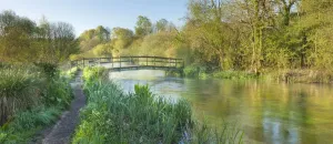 English Landscapes Drucke: Panoramic view of the River Itchen, Ovington, Hampshire, England, UK, May