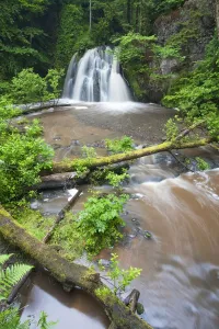 Ansicht eines Wasserfalls mit einem umgefallenen Baum im Vordergrund, Fairies Glimmer-RSPB-Botanischer Garten
