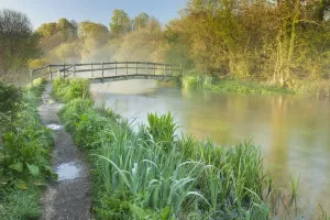 Fußwege Drucke: Blick auf den Fluss Itchen zum Sonnenaufgang in Ovington im Hertfordshire (England)
