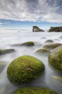 Long Exposure Coastal Photography Drucke: Seaweed covered rocks with Gaada Stack in background, Foula, Shetland, Scotland, UK