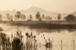 Blick über den Glastonbury-Turm durch Röhrenwälder zum Sonnenaufgang in Somerset, England