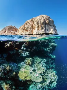 Korallenriff unter den Klippen des Shark-Observatoriums im Ras Mohammed-Nationalpark in Ägypten am Roten Meer
