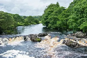 County Durham Landscapes Drucke: Low Force Waterfall on the River Tees