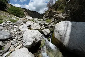Southern Europe Mountain Scenery Drucke: Mountain stream at Ponte Vecchio per Rogudi