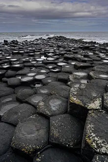 Northern Ireland Geology Drucke: RF - Basalt hexagonal rocks at the Giant's Causeway
