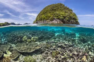 Splitterebbe mit Tafelkorallen (Acropora spp.) wachsen in der Nähe einer Insel