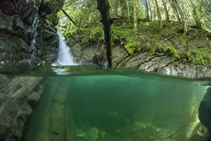 Blick von der Split-Ebene auf den Fluss Guiers vif und die Wasserfall, Naturreservat Hauts de Chartreuse, Isère, Frankreich. Juli 2024