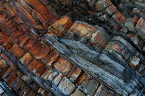 Cornwall Coastal Landscape Drucke: Tilted sandstone, mudstone and siltstone rock strata contorted by tectonic plate movement during Hercynian orogeny