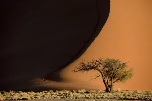 Muster von Schatten und Licht auf Sanddünen im Sossussvleï, in dem Namib-Naukluft Nationalpark