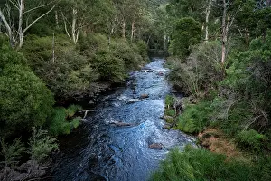 High Angle View Of River Drucke: View looking down on the Yarra River surrounded by native forest
