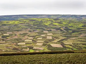 Upland Landscape Photography Drucke: View of patchwork moorland landscape