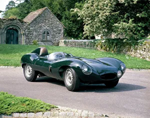 Jaguar D Type Drucke: 1954 Jaguar D Type