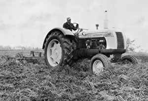 Der Traktor von 1955 der Marke Cockshutt, Ersteller unbekannt