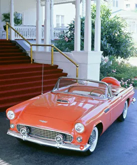 Vintage Car Models Drucke: 1956 Ford Thunderbird