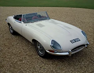 Vintage Sports Car Drucke: 1962 Jaguar E Type 3.8
