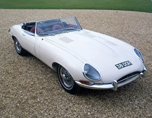 Vintage Sports Car Drucke: 1962 Jaguar E Type