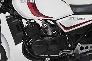 Die 1981er Yamaha RD-250 LC-Klasse, Ersteller unbekannt