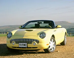 Classic American Muscle Cars Drucke: 2003 Ford Thunderbird convertible