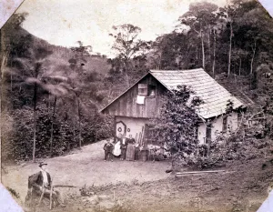 Vintage Rural Landscape Drucke: 2683737