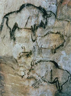 Prehistoric Cave Paintings Drucke: 2684382