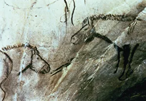 Prehistoric Hunting Scenes Drucke: 2684385