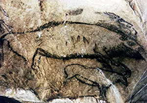 Prehistoric Wildlife Art Drucke: 2684388
