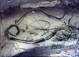Prehistoric Cave Art Drucke: 2684393