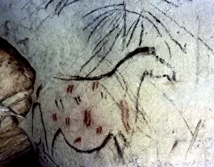 Prehistoric Cave Painting Drucke: 2684394