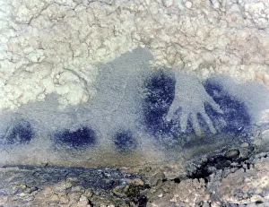 Prehistoric Cave Painting Drucke: 2684395