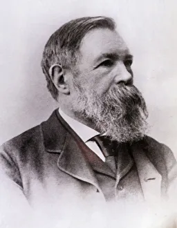 Old Man With Beard Drucke: 2684751