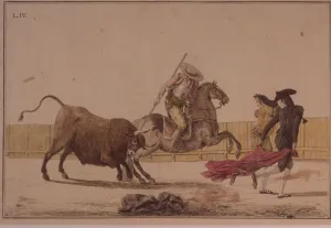 Traditional Bullfighting Drucke: 2684829