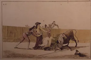 Matador In Action Drucke: 2684830