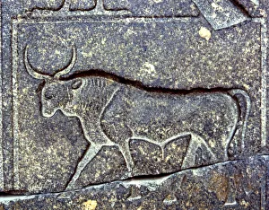 Ancient Animal Art Drucke: 2684904