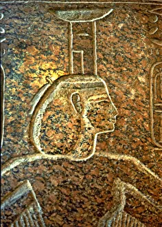 Egyptian Hieroglyphic Symbols Drucke: 2684905
