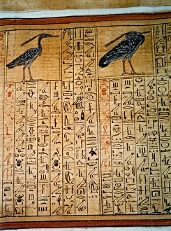 Egyptian Hieroglyphics Meaning Drucke: 2684968
