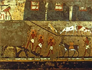 Daily Life In Ancient Egypt Drucke: 2685503