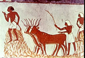 Daily Life In Ancient Egypt Drucke: 2685520