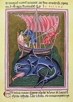 Medieval Sailing Vessels Drucke: 2685567